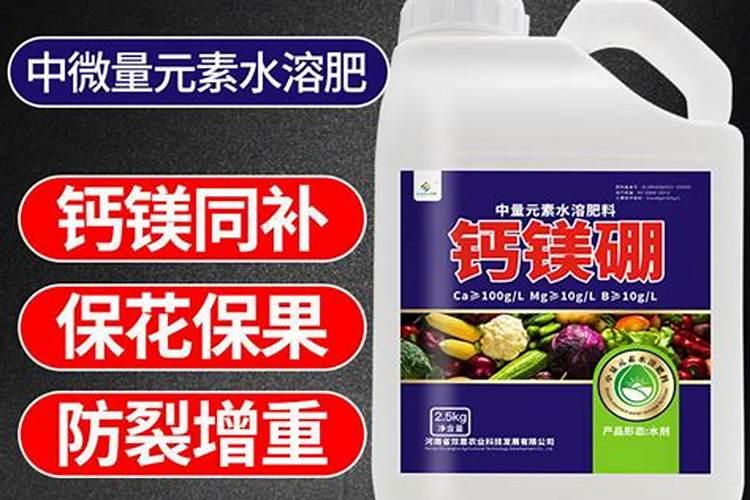 柑桔钾肥最佳时间是什么时候