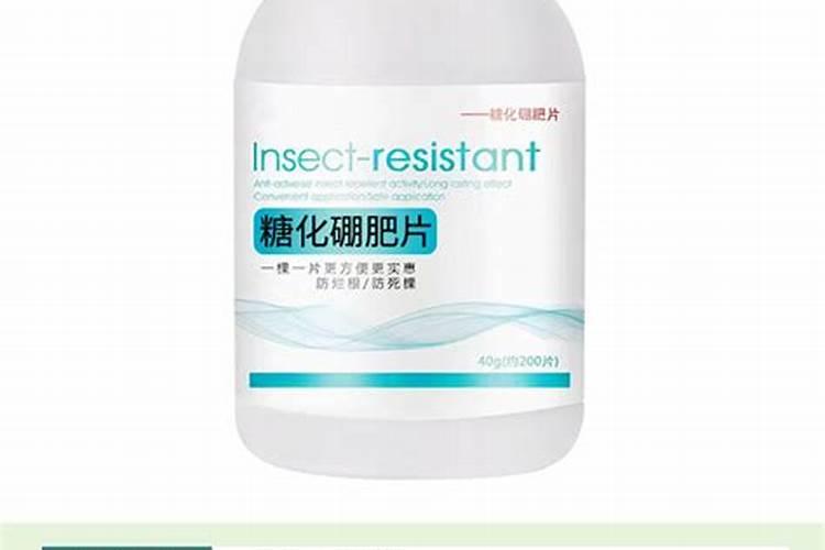 甜叶菊什么时候叶面能喷芸苔素