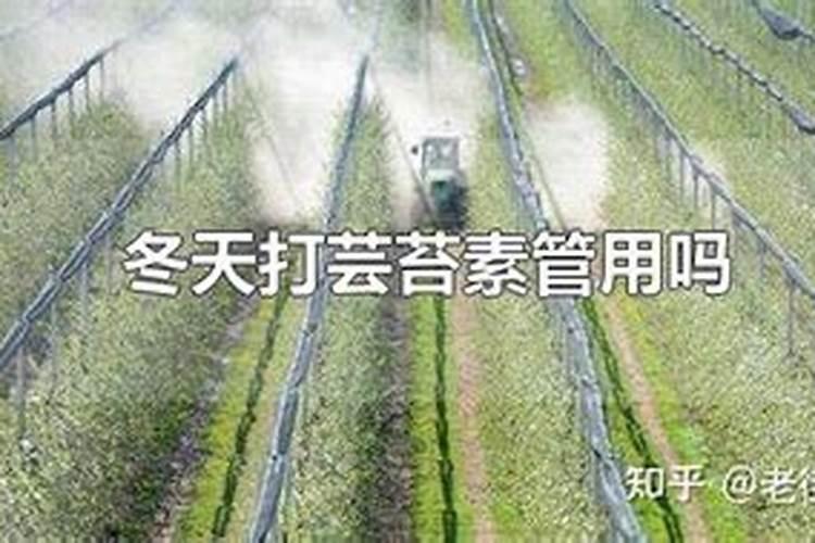 北京市钾肥、氮肥、磷肥、复合肥各多少钱一吨？