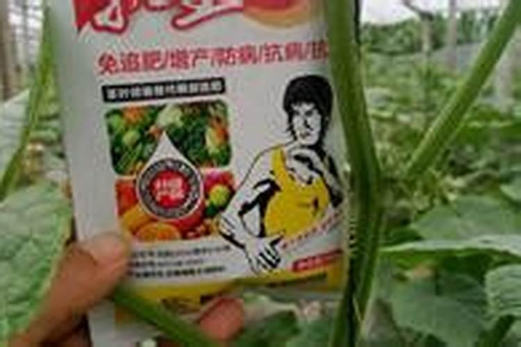 钾肥价格多少钱一吨