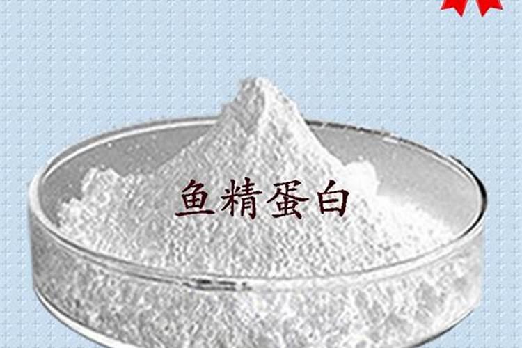 鱼蛋白哪个牌子好？