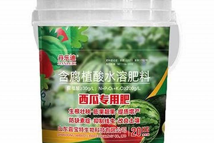 西瓜是一种非常喜钾的作物,那么如何施钾肥,才能使西瓜高产呢？