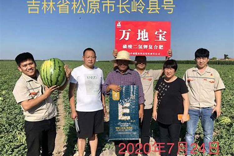 锌腐酸的作用