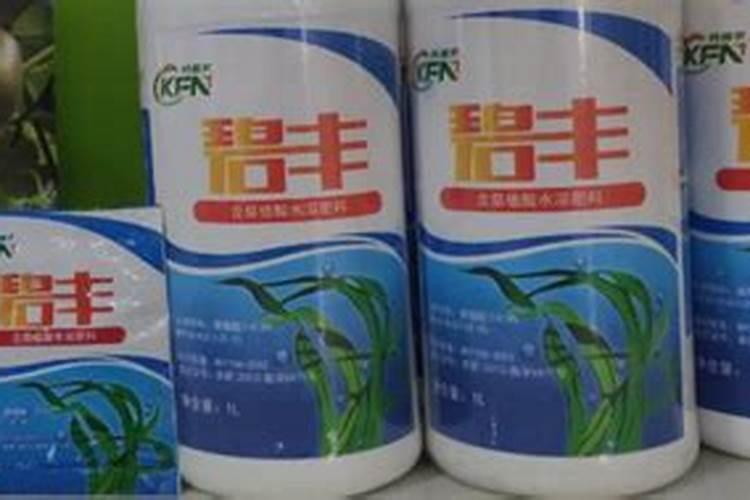 桶装冲施肥与袋装水溶肥的区别各自的优势