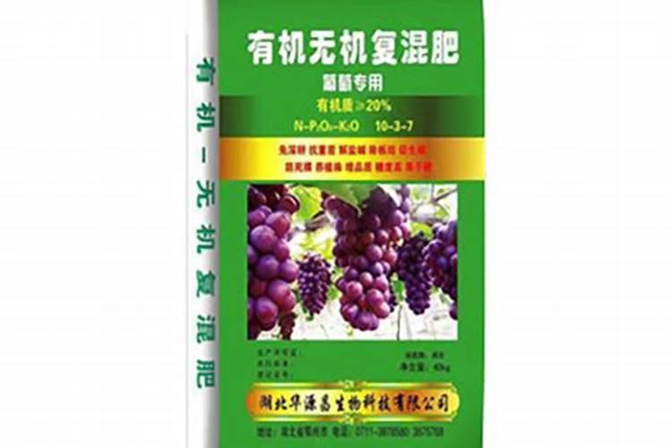 柑子皮的功效与作用