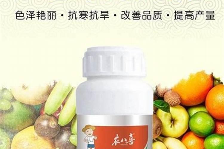 红葱亩产量一般是多少公斤 附种植方法