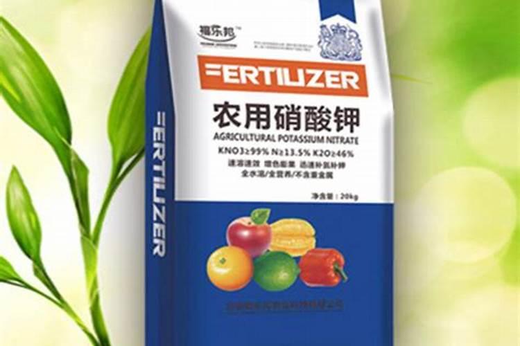 红葱的种植时间和方法
