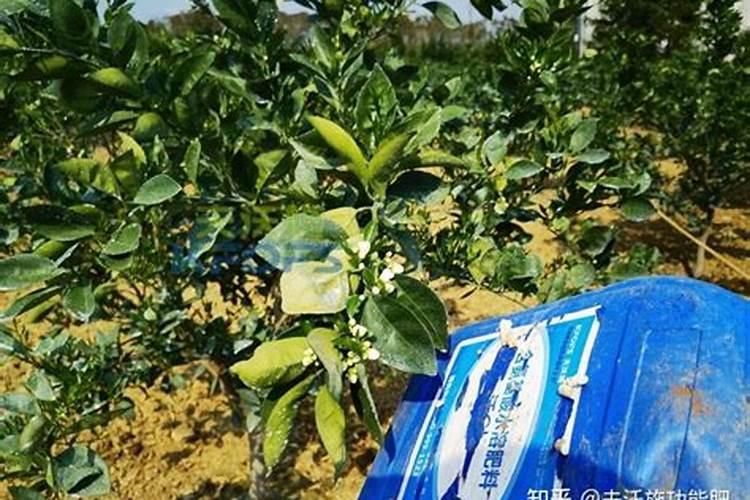 宁奥水溶肥效果怎么样