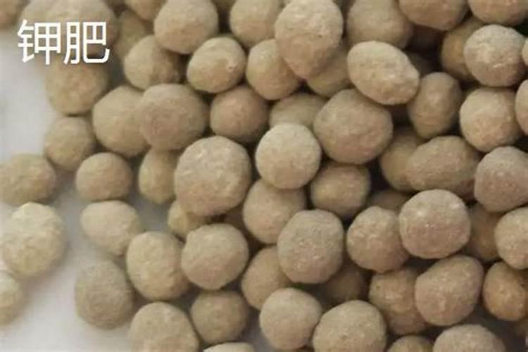 种蔬菜用什么复合肥