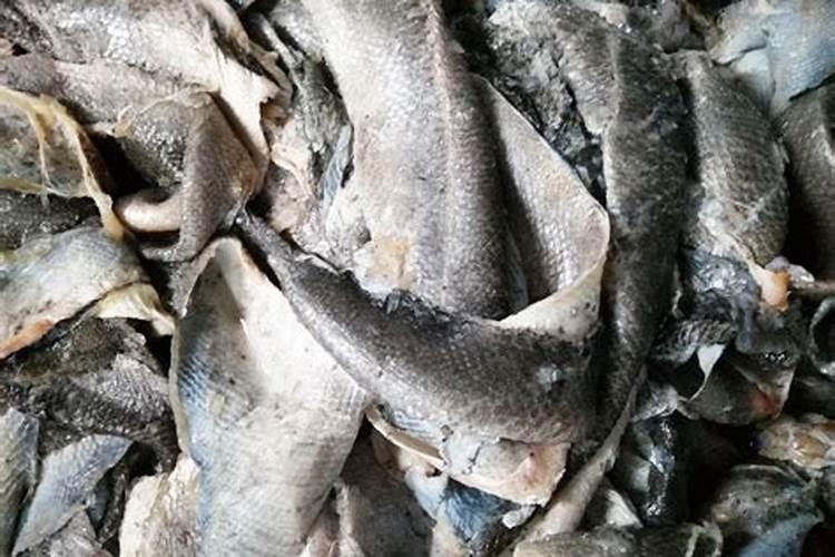 碳酶海藻鱼蛋白什么时候使用最好