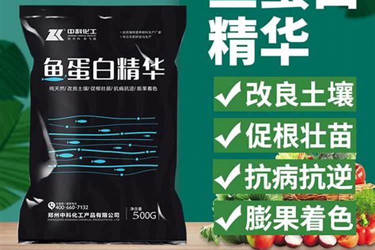 鱼蛋白水溶肥现在怎么用