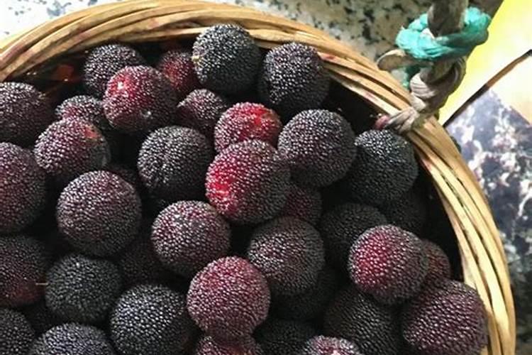 如何施用微量元素肥料才会更好？