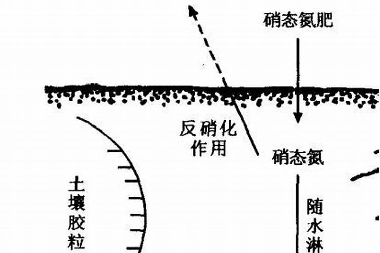 果树叶面肥有哪些品种