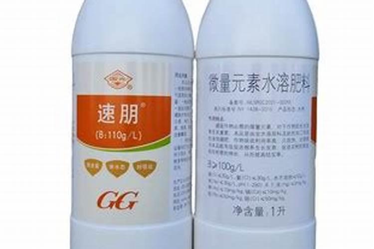 油菜施什么样的硼肥最好