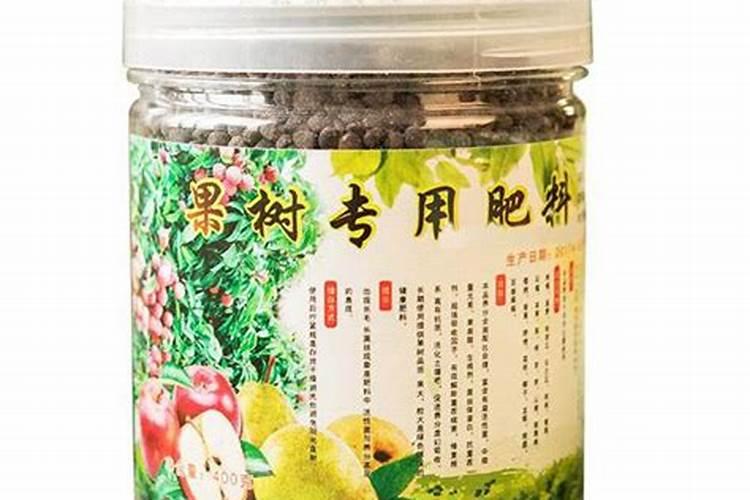 能否给新移栽的月季施肥吗