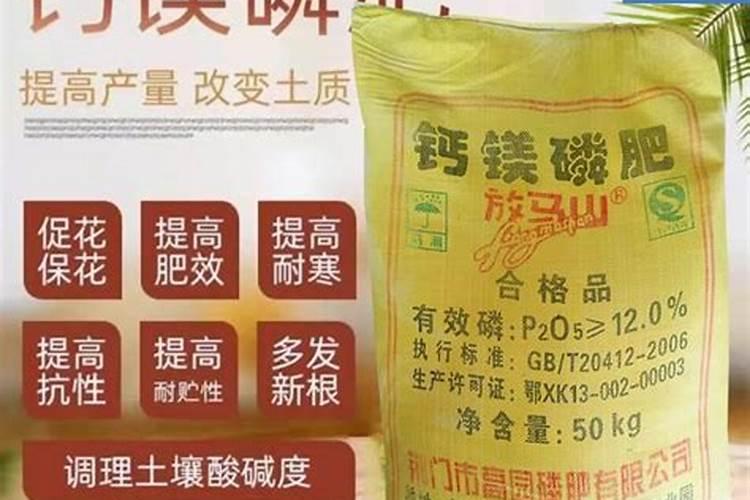 蟹爪兰在生长期施什么肥好