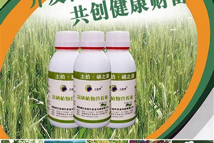 油菜施用钾肥有哪些作用？