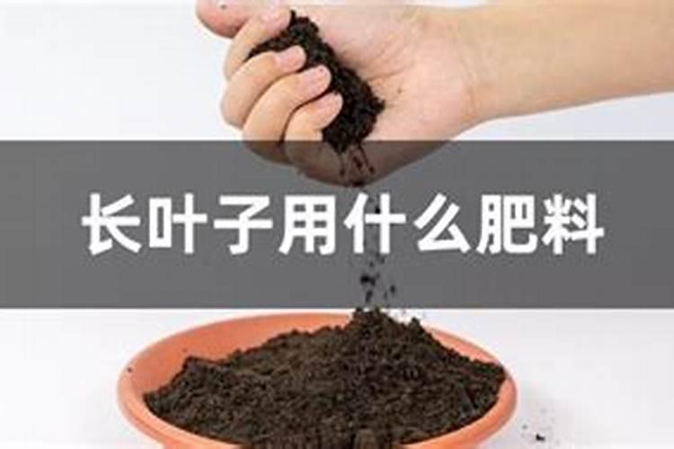 具备钾元素的水溶肥都有啥