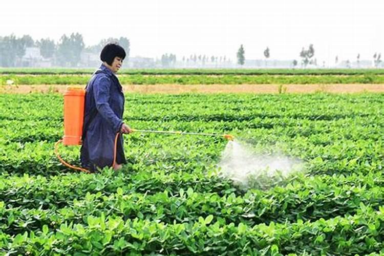 中国叶面肥十大品牌