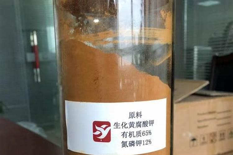 柑橘采收前如何浇水施肥柑橘施肥哪些是要注意的