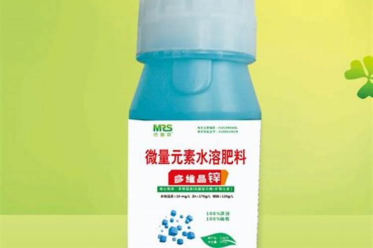 牛心包菜叶子边缘枯黄是什么