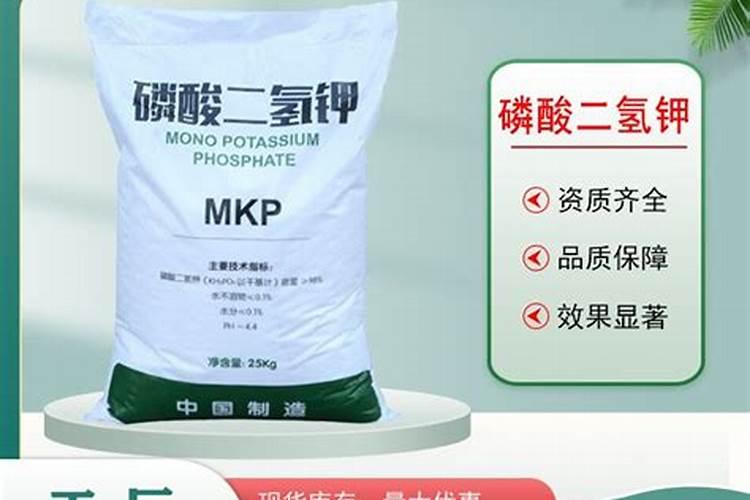 为什么鱼在冰冷的水中不怕冷