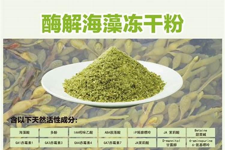 月季春天什么时候施肥