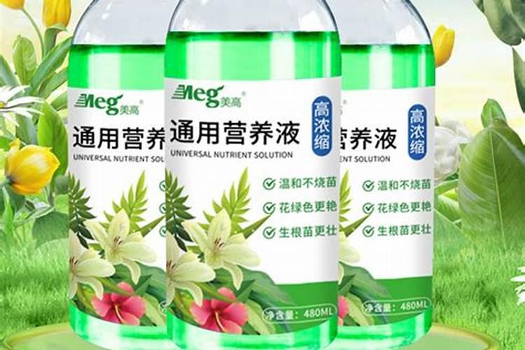 梨树膨大期怎么施肥