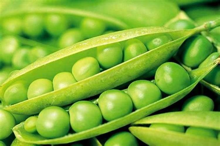 豌豆施什么肥好