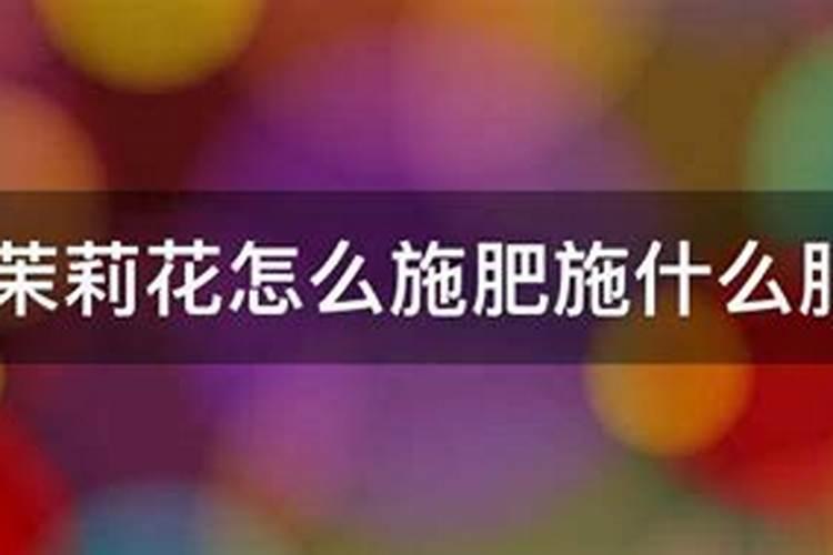 茉莉花施什么肥好,茉莉花施磷钾肥和有机肥最好