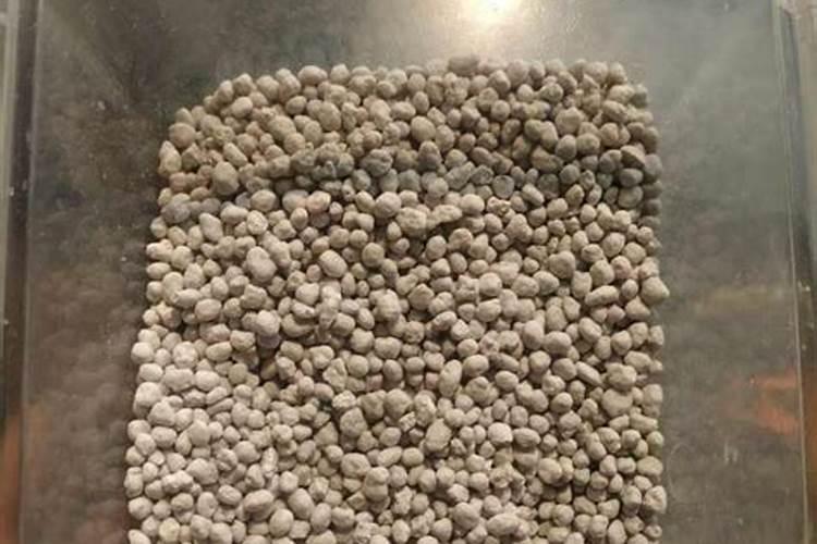 芥菜亩产量一般多少斤正常 种一亩荠菜利润