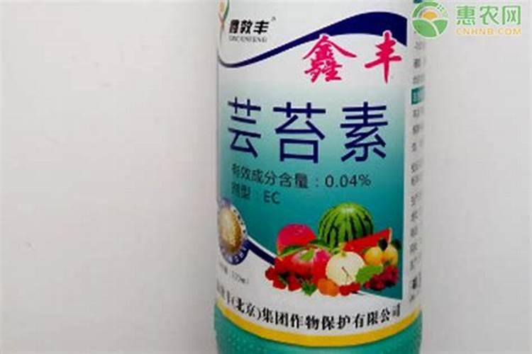 叶面肥什么时间喷最好