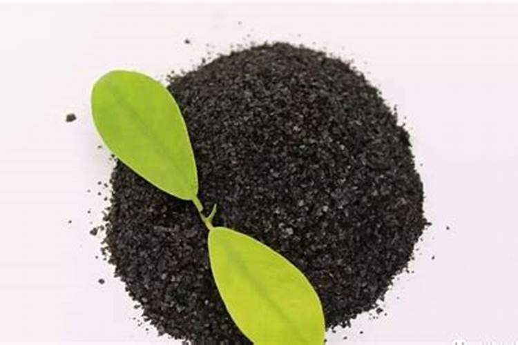 复合肥能与生物菌肥一起使用吗？