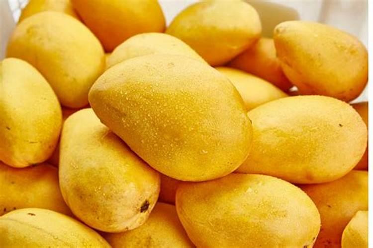 芒果花期喷什么叶面肥最好
