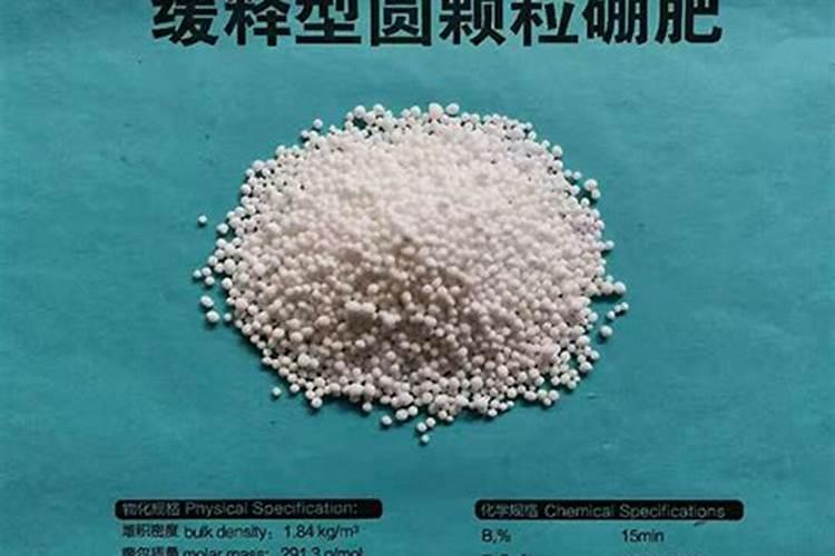 大蒜追肥的最佳时间
