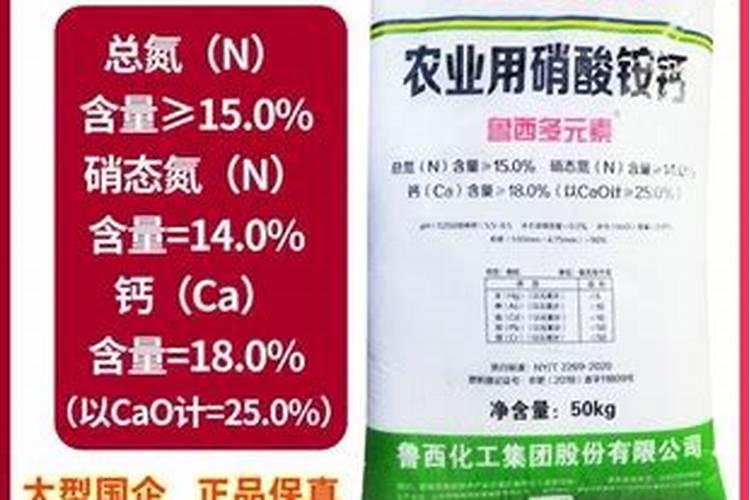18种最耐阴的蔬菜