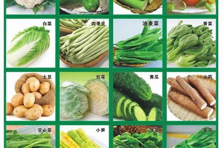 酢浆草浇水时间和正确方法