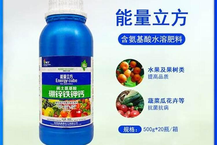 红花酢浆草小苗浇水方法