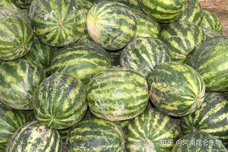 平衡肥。高钾肥钙肥分别在西瓜什么时期冲施？