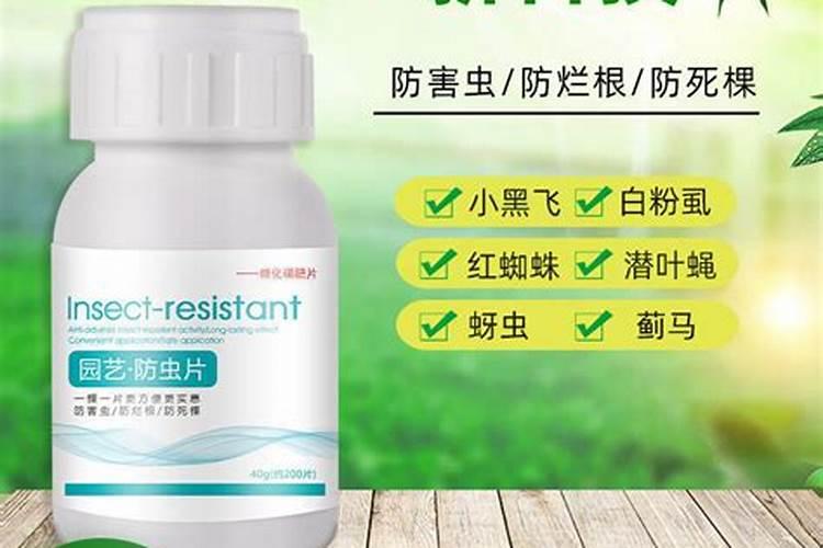 芸苔素和芸苔素内脂有什么区别