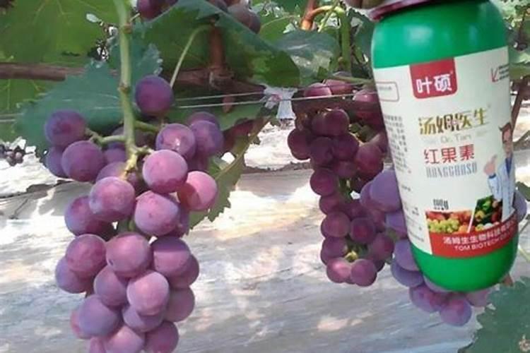 氮肥适合浇什么花