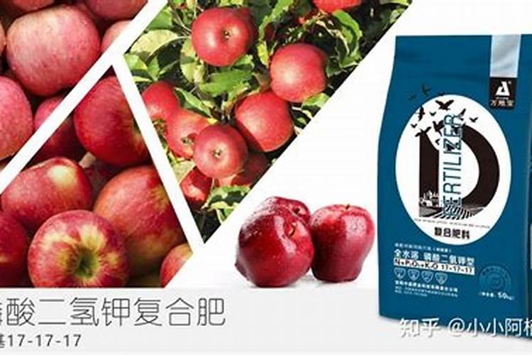 苹果树开花前施什么肥打什么药