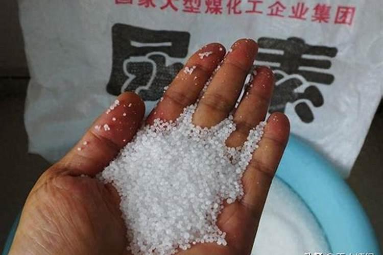 种的黄瓜不能用什么肥料注意事项有哪些