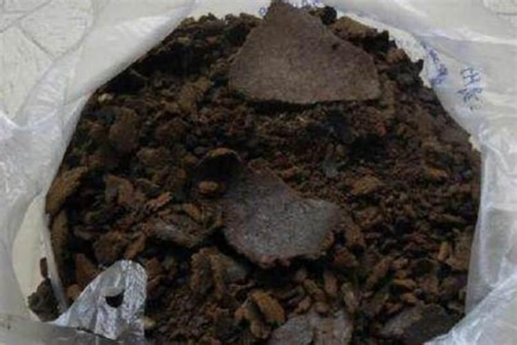 种黄瓜冲什么菌肥好叶片很大很薄