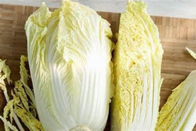 种植大白菜为什么会有干烧心的现象,如何能有效预防？