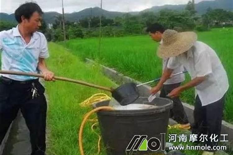怎样自制花肥料,家庭养花用什么肥料好给花施肥用什么肥料