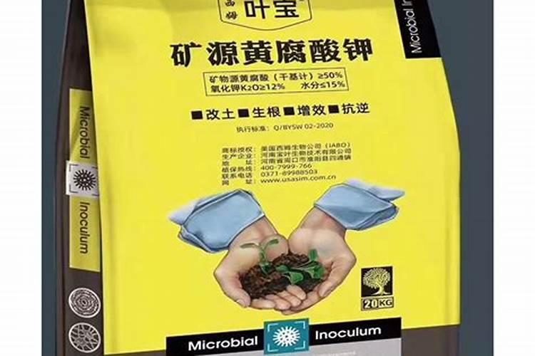求一份详细的低钾低磷蔬菜列表