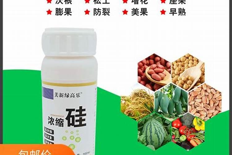 栽种果树需要补钙,哪几个时期补钙更好呢？