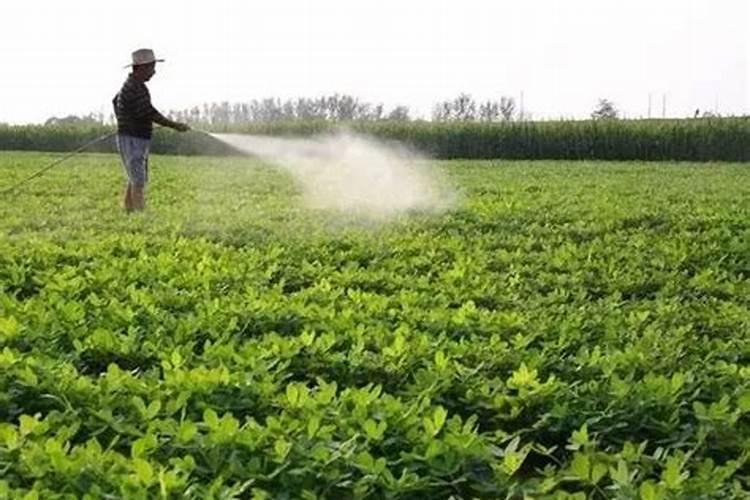 玉米杀虫药虱螨脲和钾肥能一起用吗？