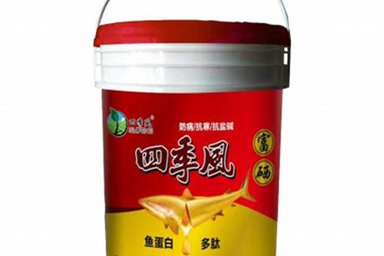 雷竹如何种植能高产